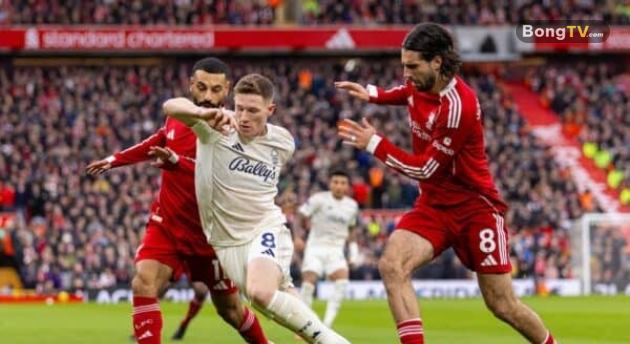 Anderson chơi tuyệt vời trước Liverpool.